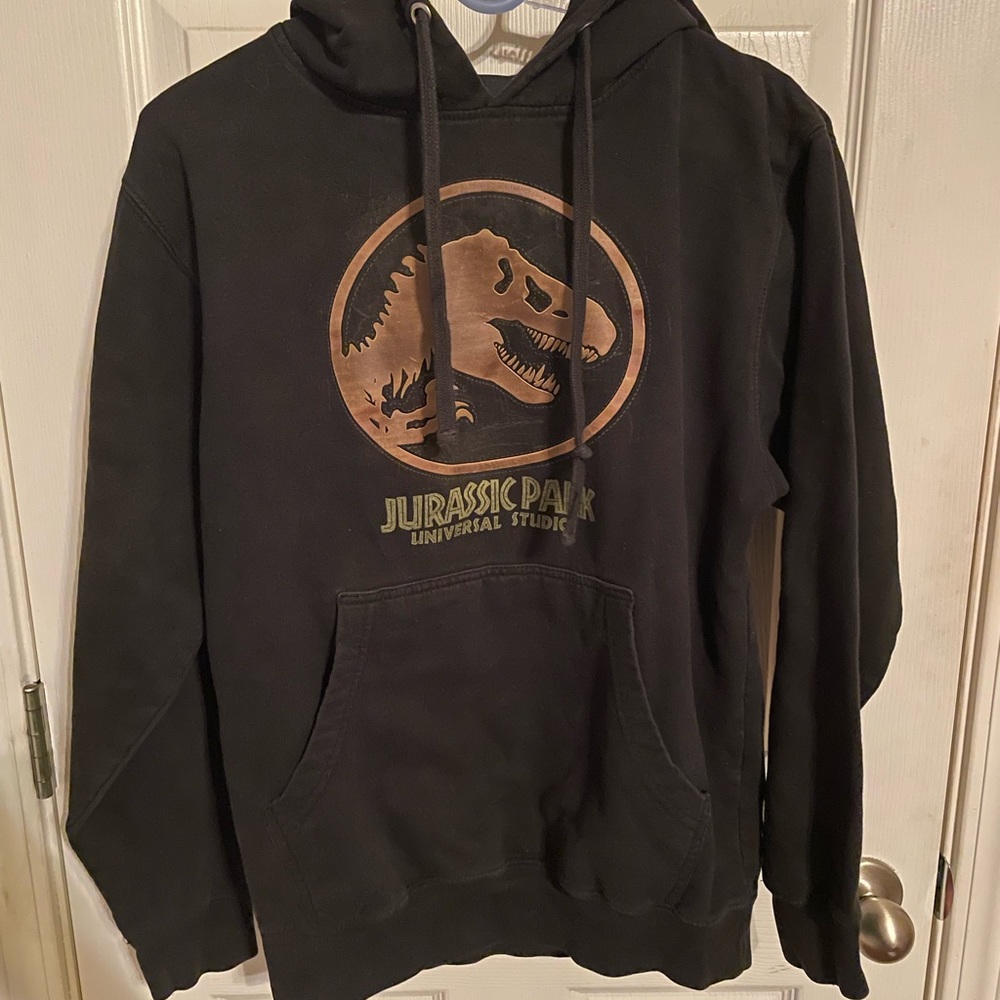 Universal studios jurassic park youth hoodie